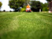 Total Lawns image 1